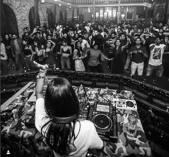 Crossover Ft Animal Picnic At Gawky Goose thumb 4