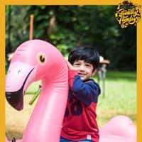 Sunday Funday - Christmas Edition thumb 2