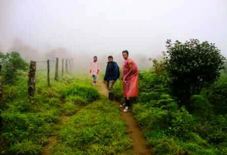 Coorg Tadiyandamol Monsoon Trek | Muddie Trails thumb 3