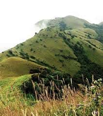 Coorg Tadiyandamol Monsoon Trek | Muddie Trails thumb 4