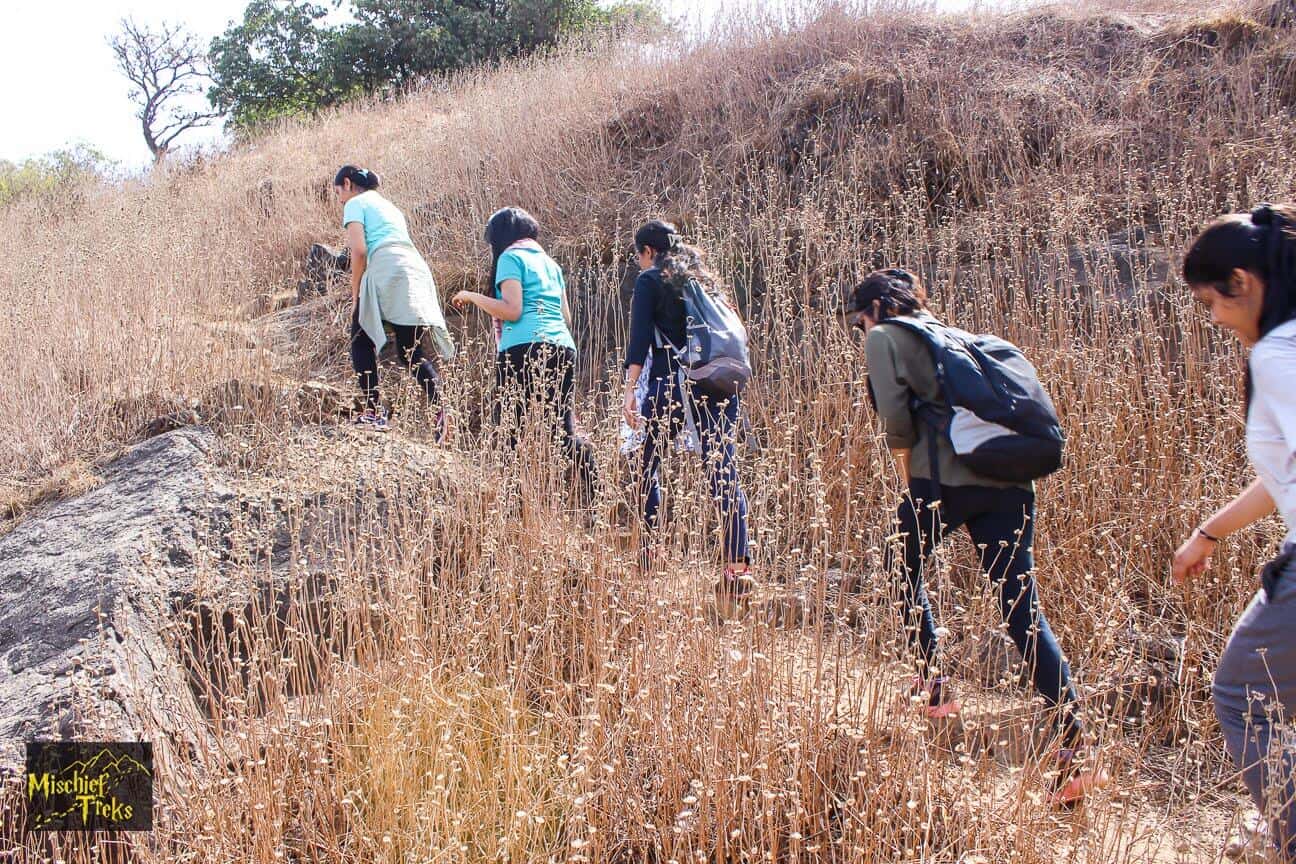 Rajmachi- A Fireflies Special Event | Mischief Treks thumb 2