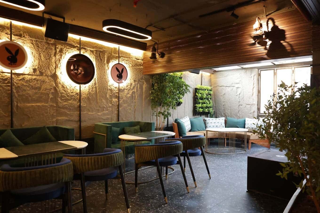 The Bollywood Drama thumb 2