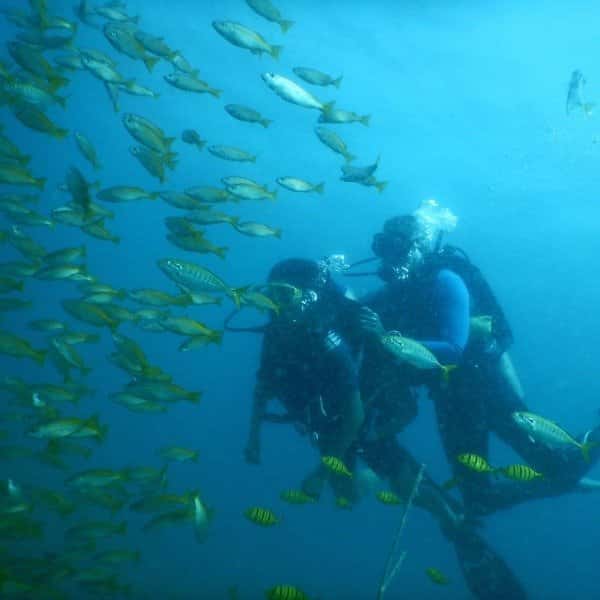 Samudra Adventures & Eco Beach Resort thumb 2