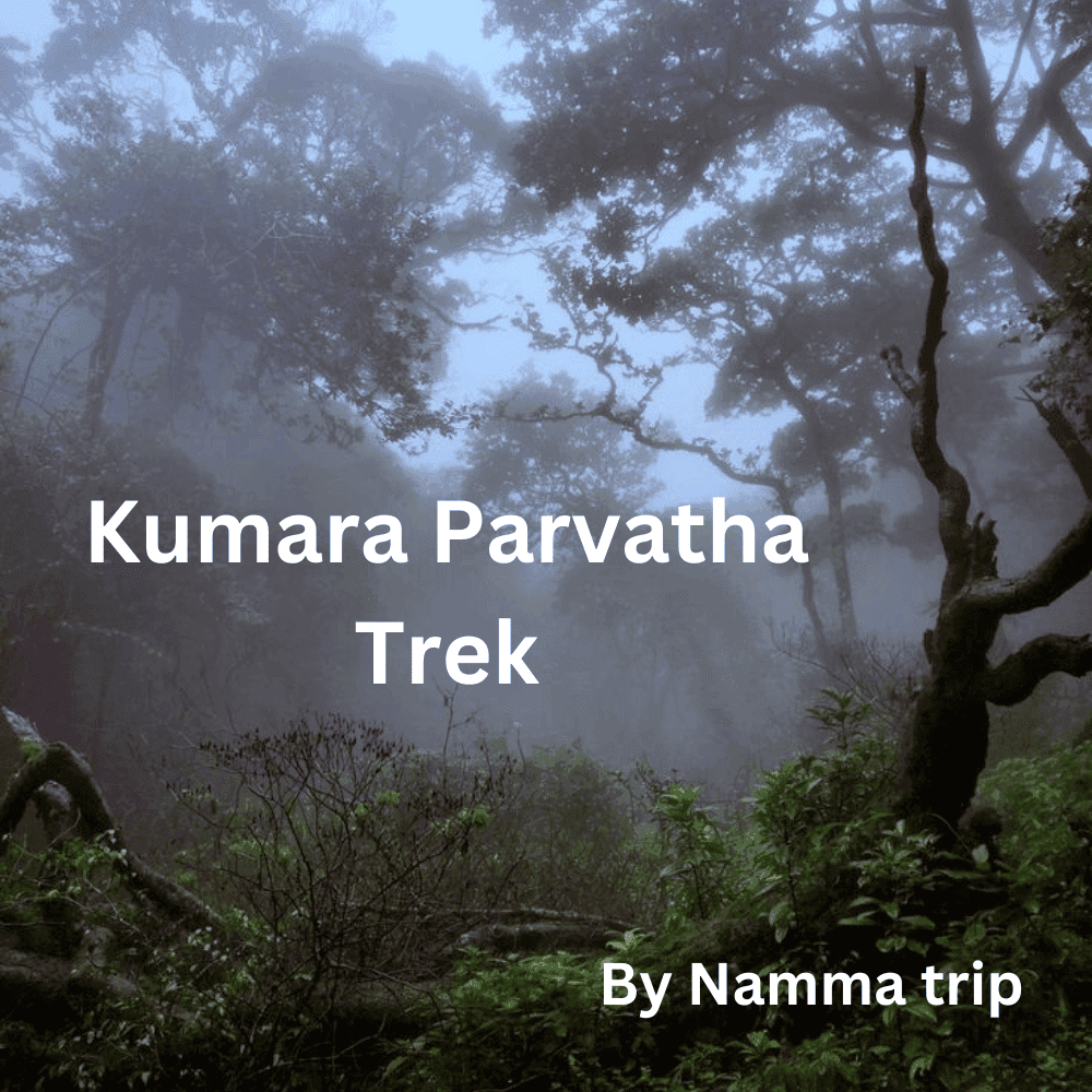 Kumara Parvatha Trek | Namma Trip thumb 2