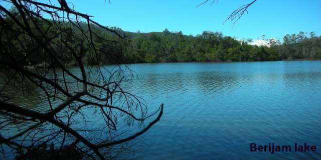 Kodaikanal Forest Tour (One Day Package) thumb 3