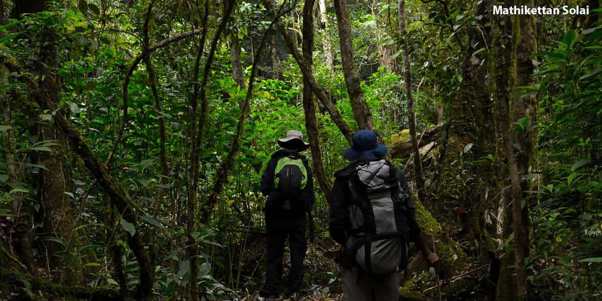 Kodaikanal Forest Tour (One Day Package) thumb 4
