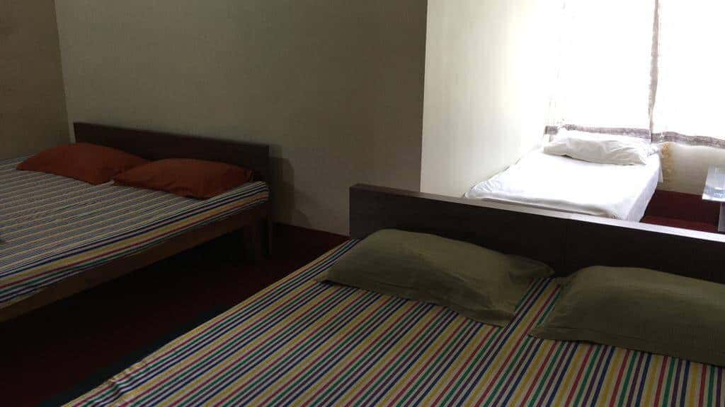 New Years In Misty Chikmagalur thumb 2