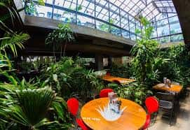 Saturday Let's Party At Social Koramangala - Free Entry thumb 3