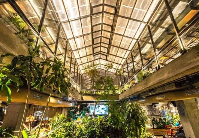 Saturday Let's Party At Social Koramangala - Free Entry thumb 4