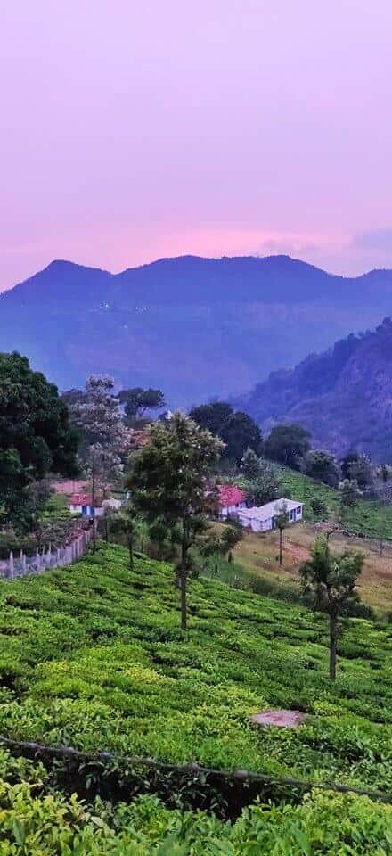 Kurinjal Peak Trek | Plan The Unplanned thumb 3