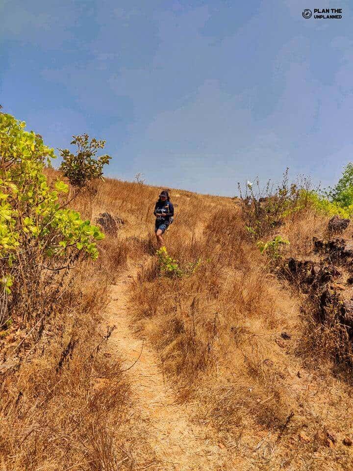 Kurinjal Peak Trek | Plan The Unplanned thumb 4