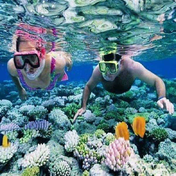 Sea Walk In Andaman thumb 4