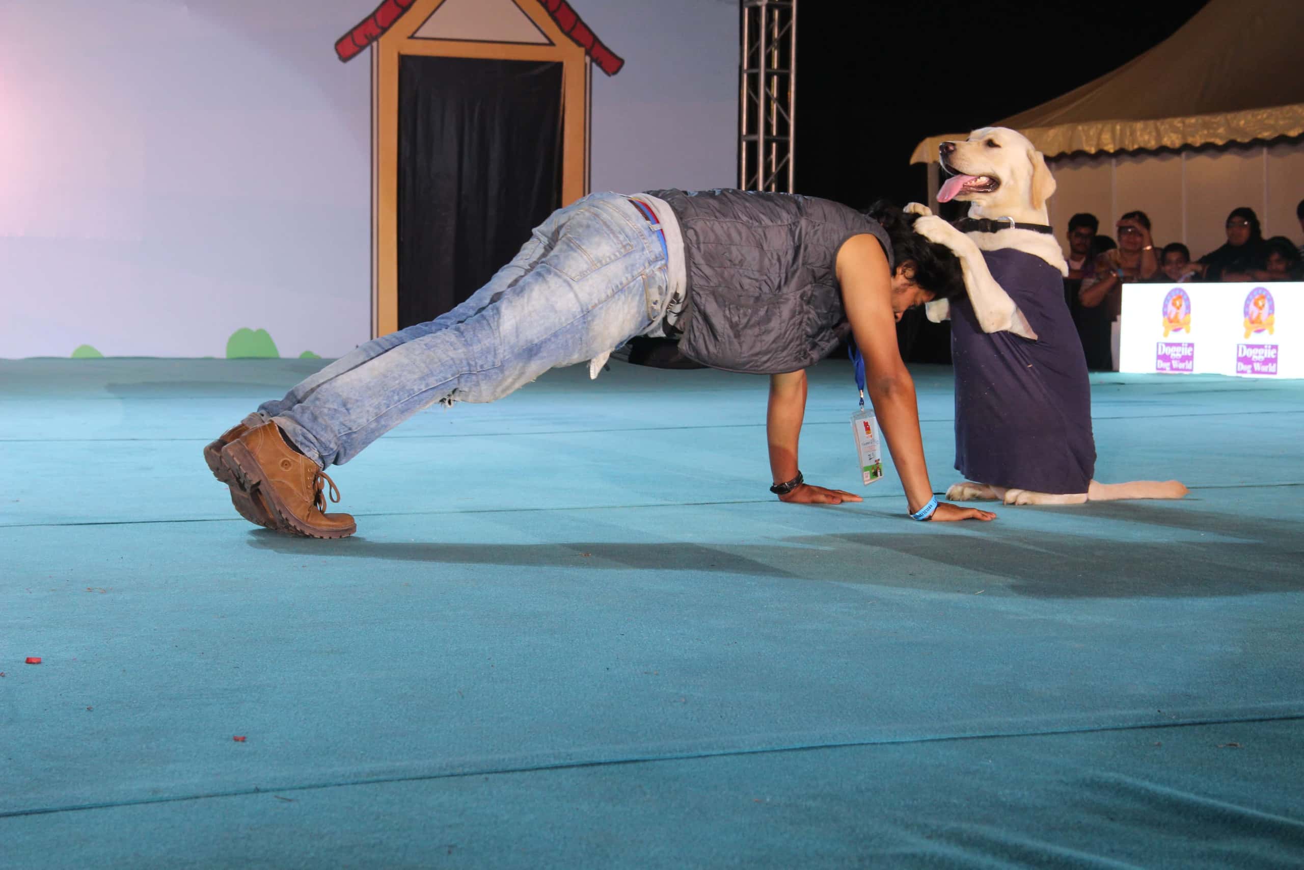 Pet Fed Bengaluru 2018 thumb 2