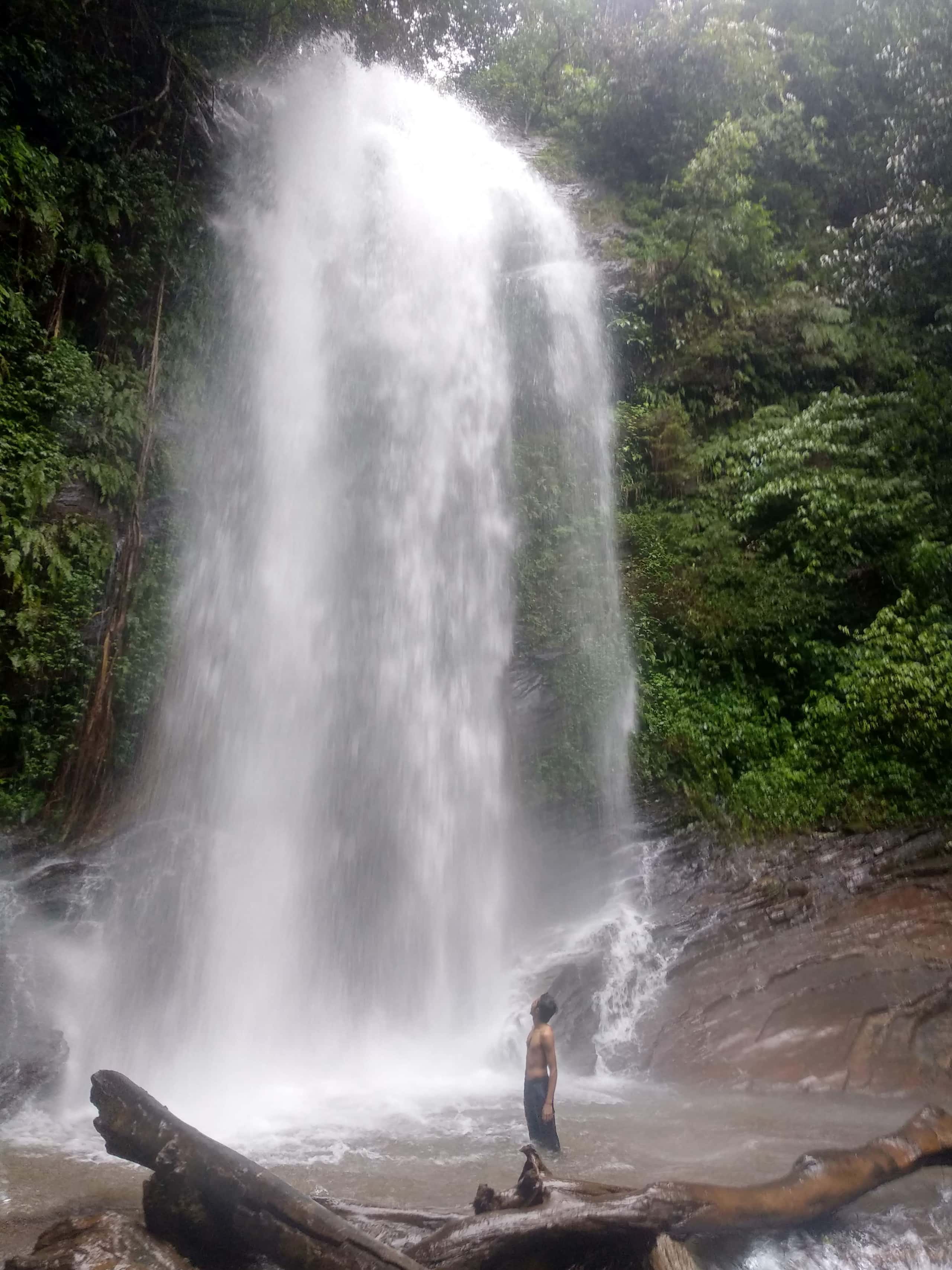 Kodachadri Trek thumb 4