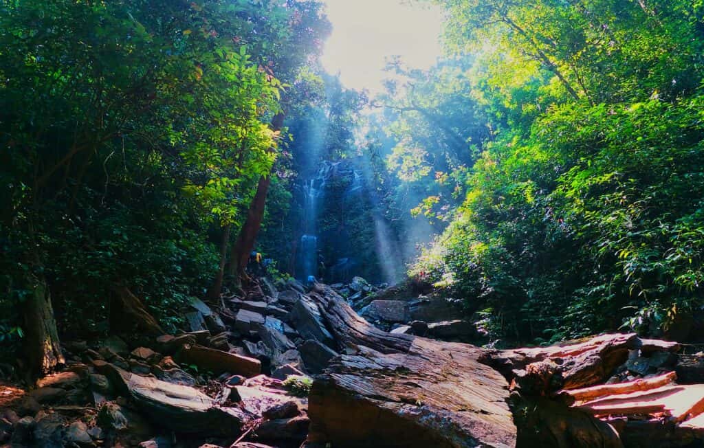 Kodachadri Trek thumb 2