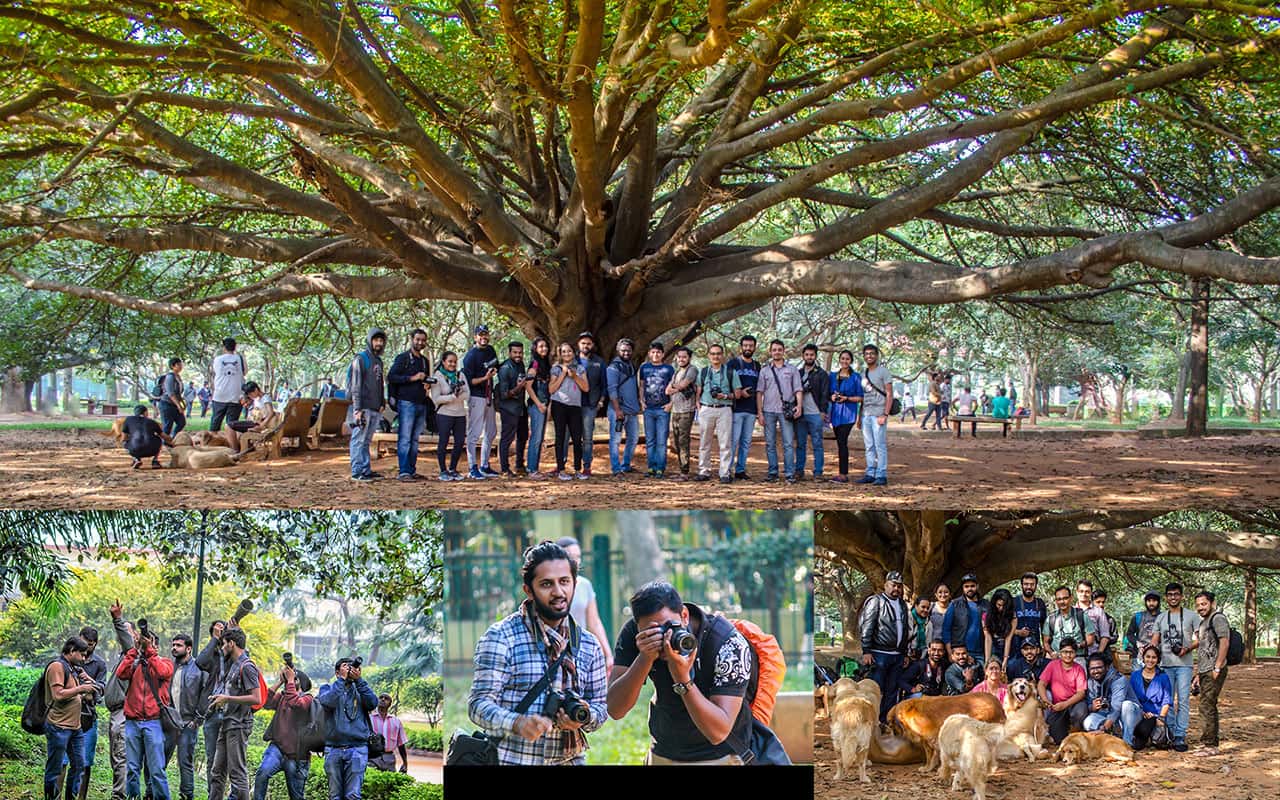 Photowalk at Cubbon Park Bangalore thumb 2