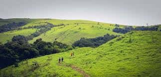 Kodachadri Trek | Plan The Unplanned - July thumb 3