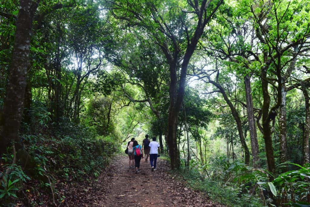 Kudremukh Trek | Backpackers United thumb 4