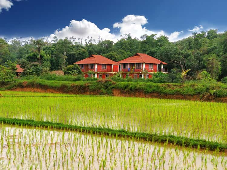 Feel Like Home at Stream Edge, Sakleshpur thumb 2