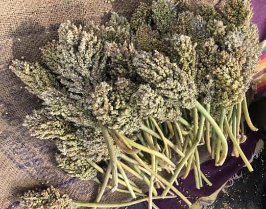 Hurda - Ponkh Harvest Festival thumb 4