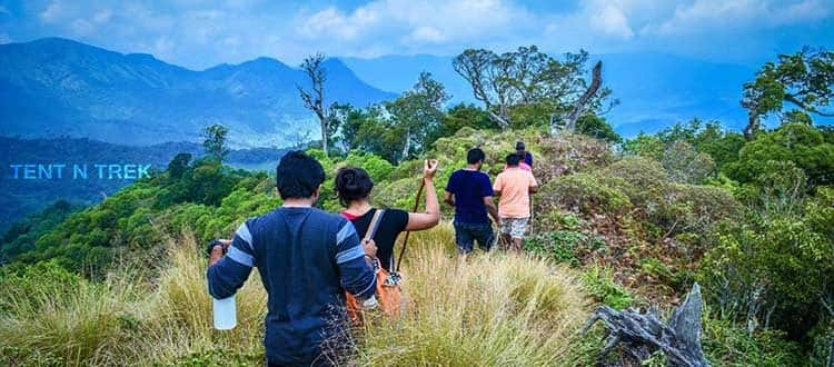 Holiday Jungle Camping - Munnar thumb 2