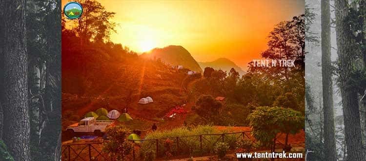 Holiday Jungle Camping - Munnar thumb 4