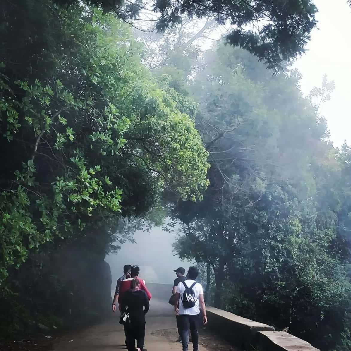 Backpacking Kodaikanal Trip thumb 2