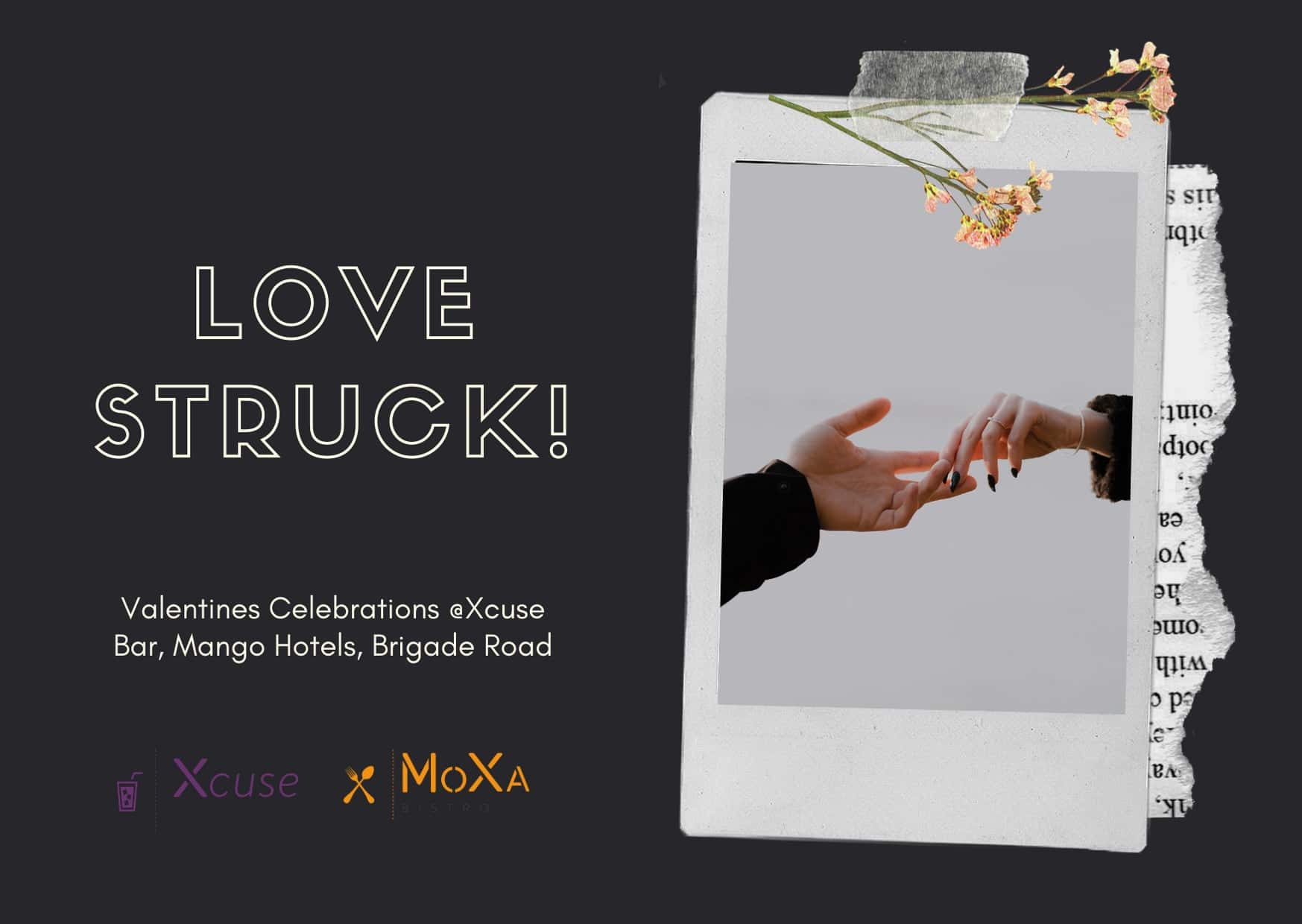 Love Struck - Valentines Celebrations At Brigade Xcuse Bar thumb 3
