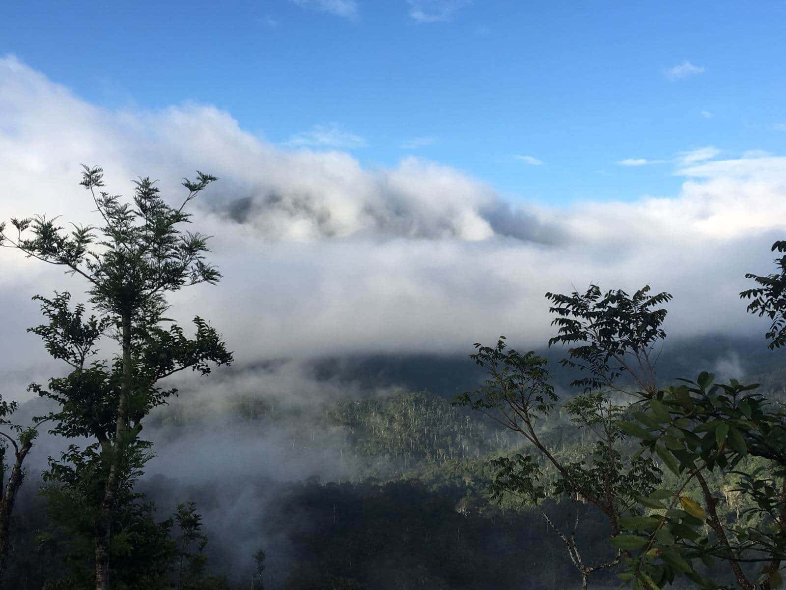 Three Day Chikmagalur Trip With Bandaje Falls Trek thumb 4