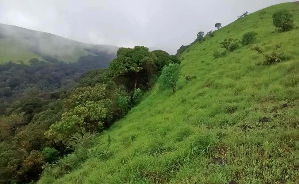 Kodachadri Hills Trek With Malpe Beach thumb 3