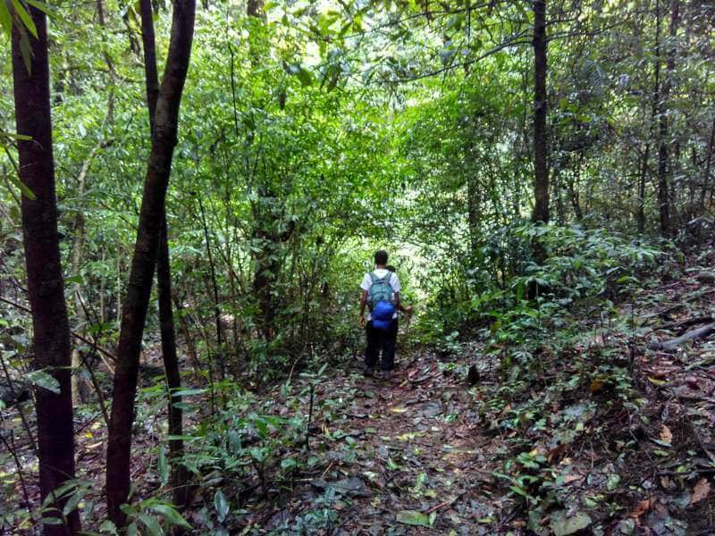 Kopatty Coorg Trek | Plan The Unplanned - July thumb 4