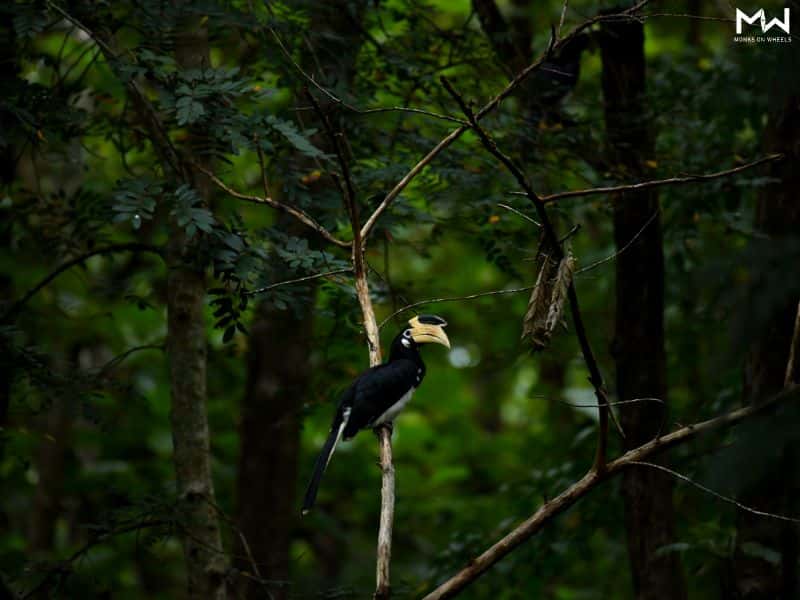 The Great Karnataka Adventure  thumb 2