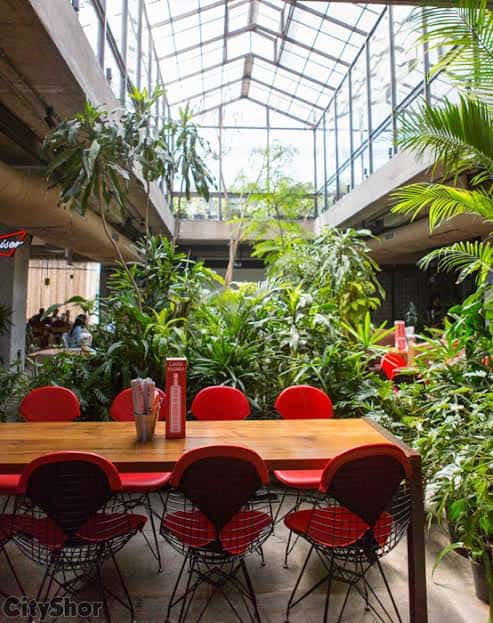 Saturday Let's Party At Social Koramangala  thumb 3