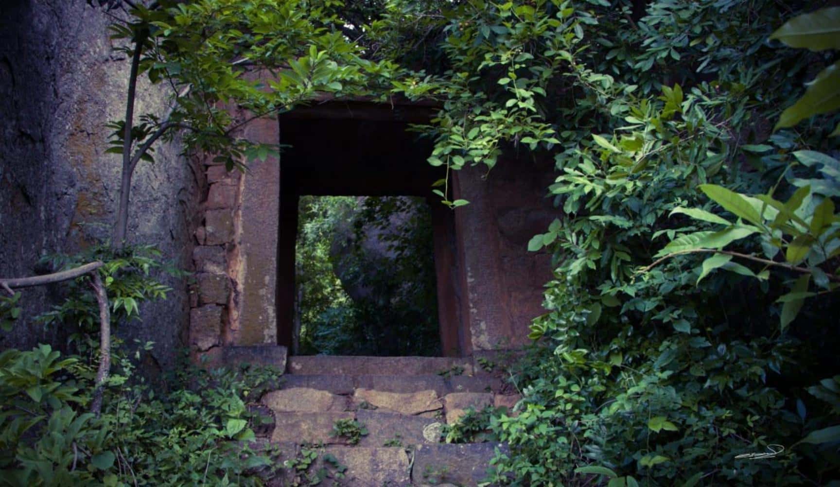 Uttari Betta Sunrise Trek & Kayaking | NammaTrip thumb 2