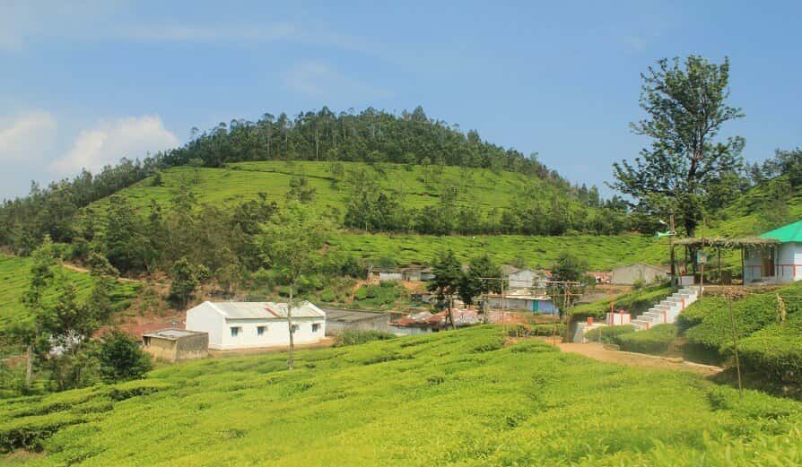 Kolukkumalai Trek & Camping | Plan The Unplanned - May thumb 4