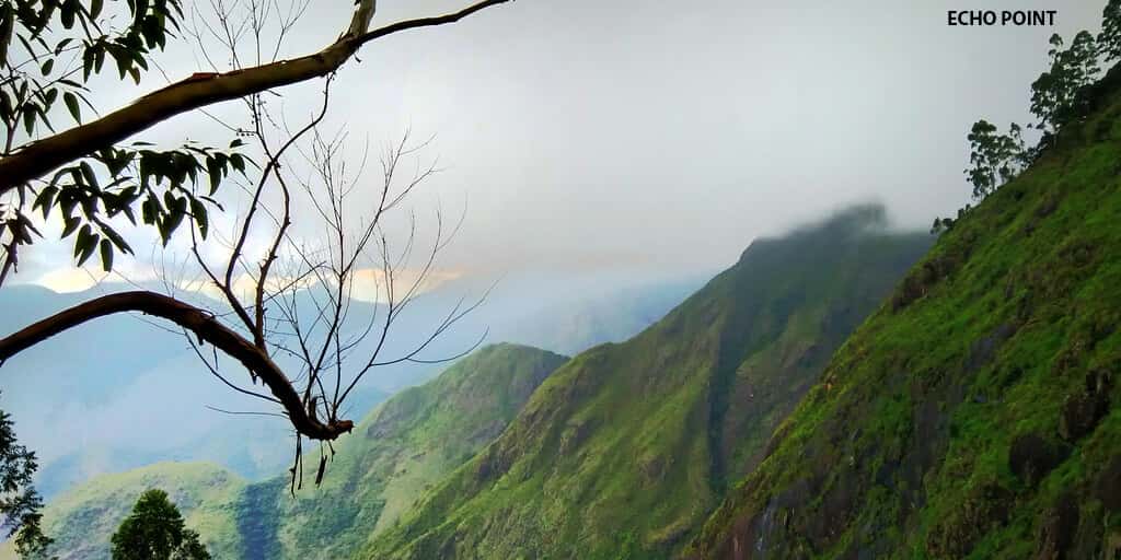 Kodaikanal Trekking Tour (One Day Package) thumb 3