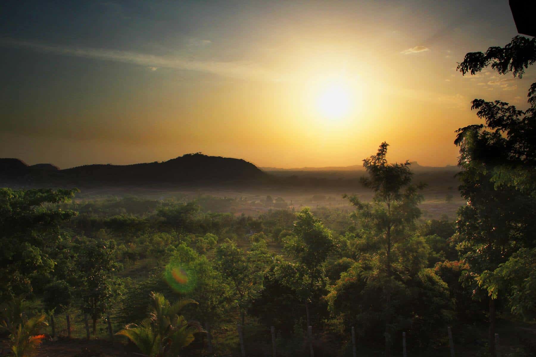 Valentine's Fiesta 2023 thumb 3