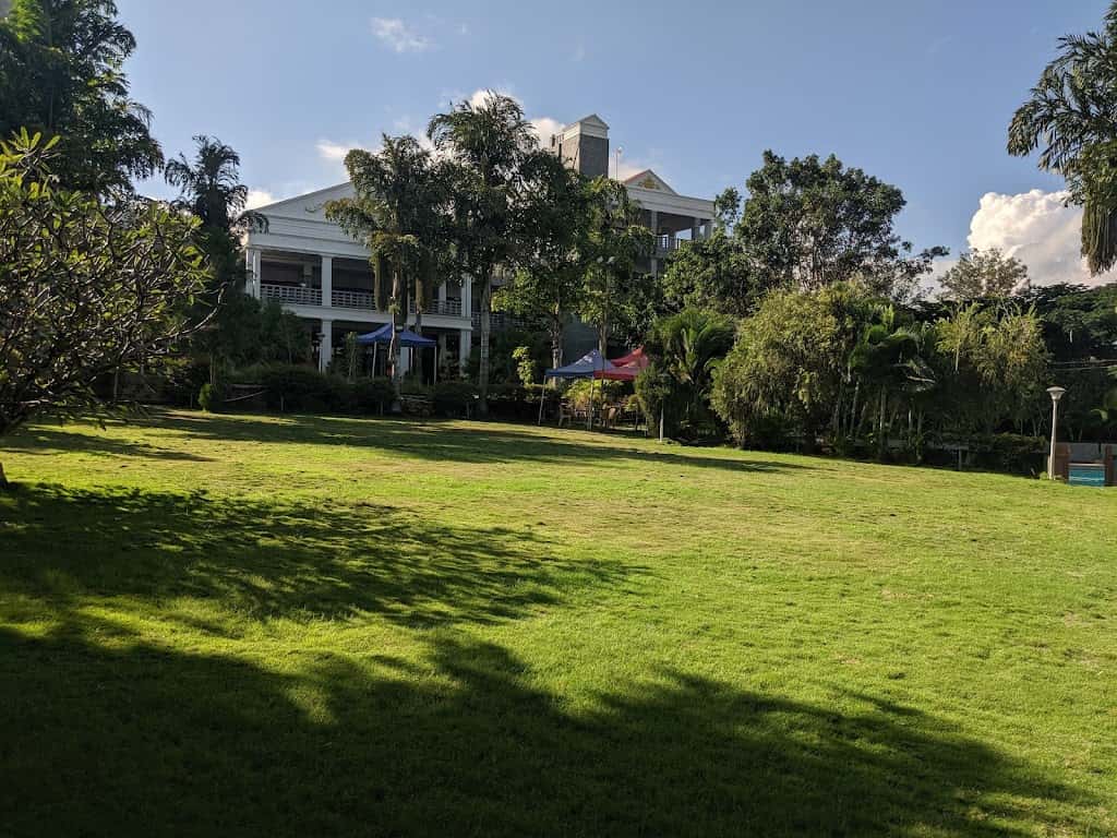 Valentine's Fiesta 2023 thumb 4