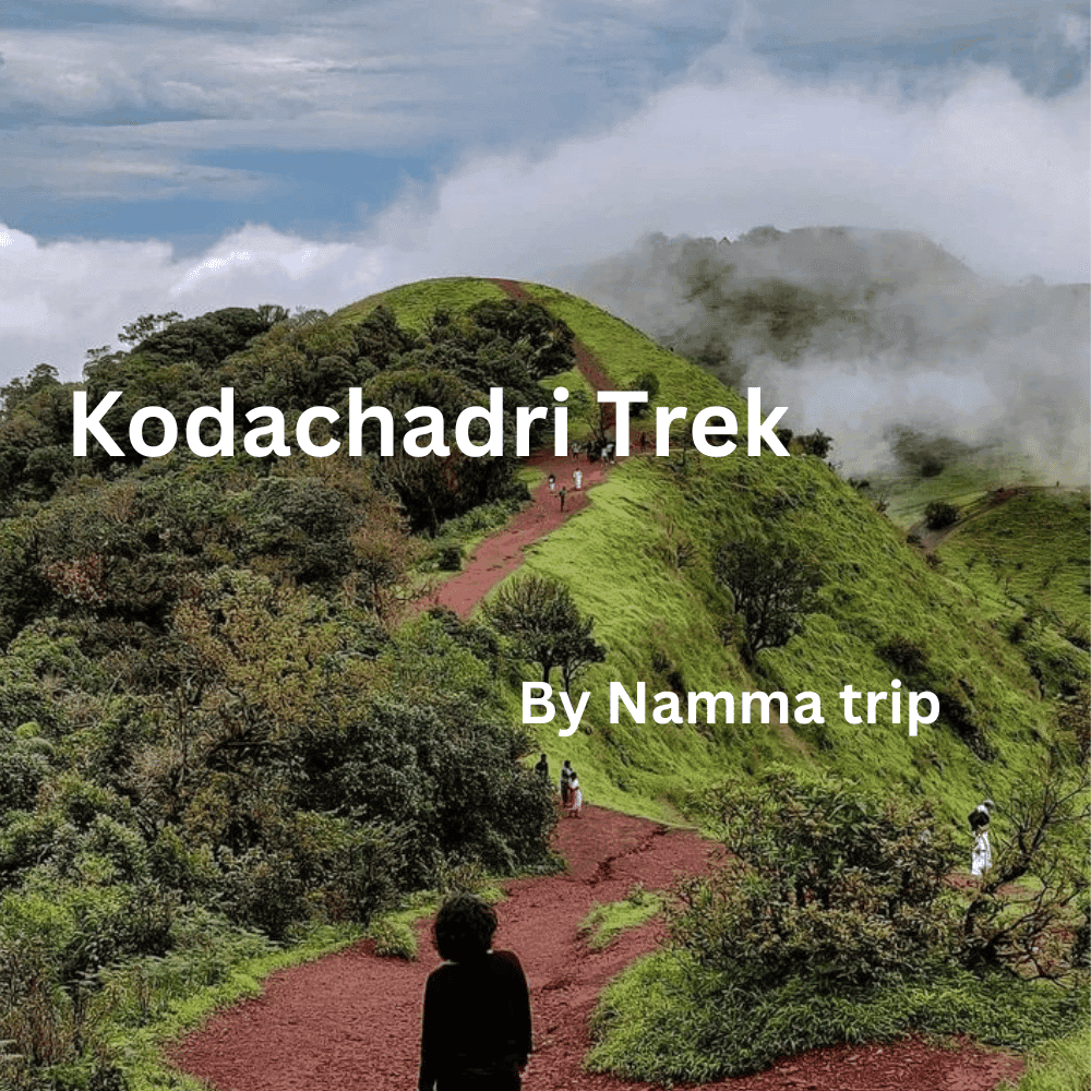 Kodachadri Trek | Namma Trip thumb 2