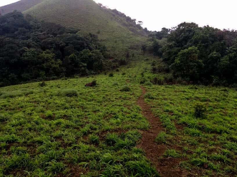 Kopatty Trek - Coorg | Nature Walkers thumb 4