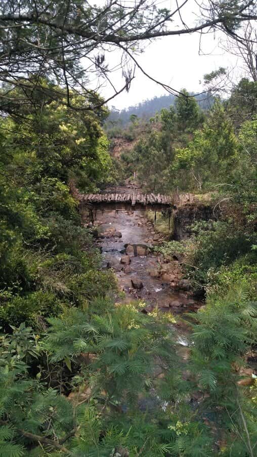 The Heavenly Nilgiris Monsoon Road Trip(The Hidden Ooty) | Muddie Trails thumb 3