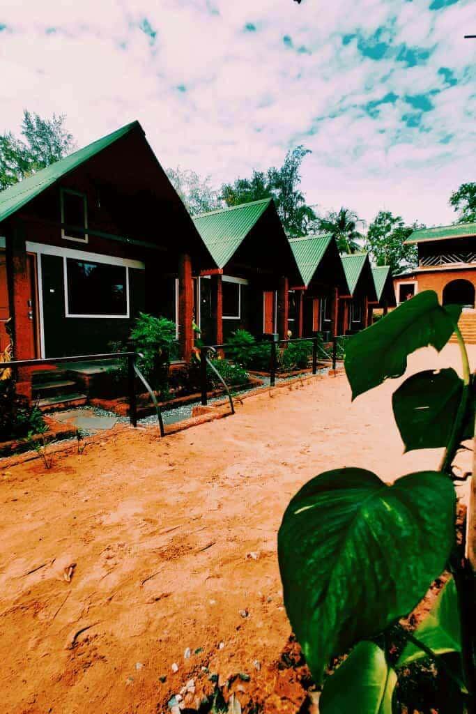 New Years In Gokarna thumb 2