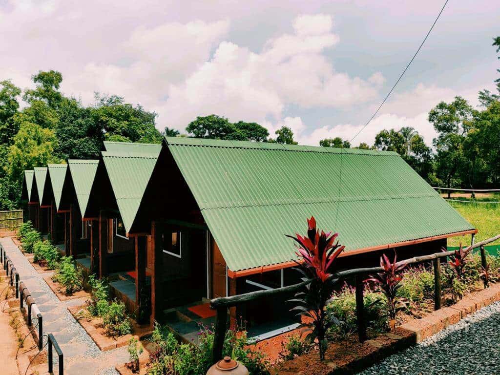 New Years In Gokarna thumb 4