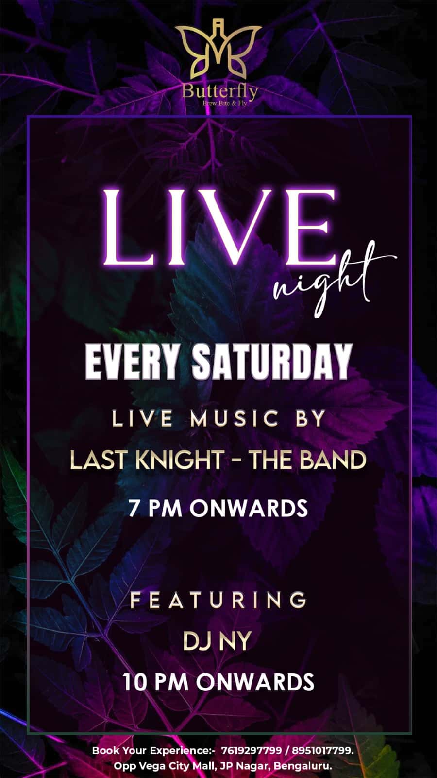 Live Saturday Night  thumb 2