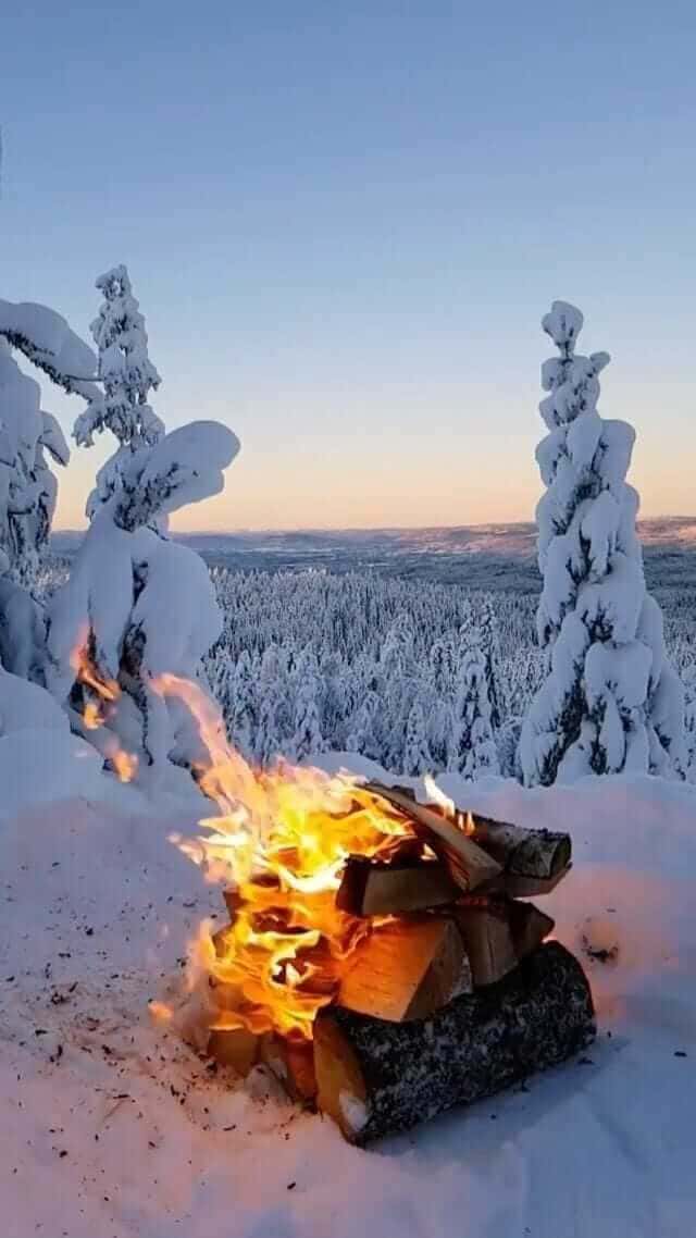 3N/4D – Manali ex Chandigarh (Himachal Pradesh) thumb 3