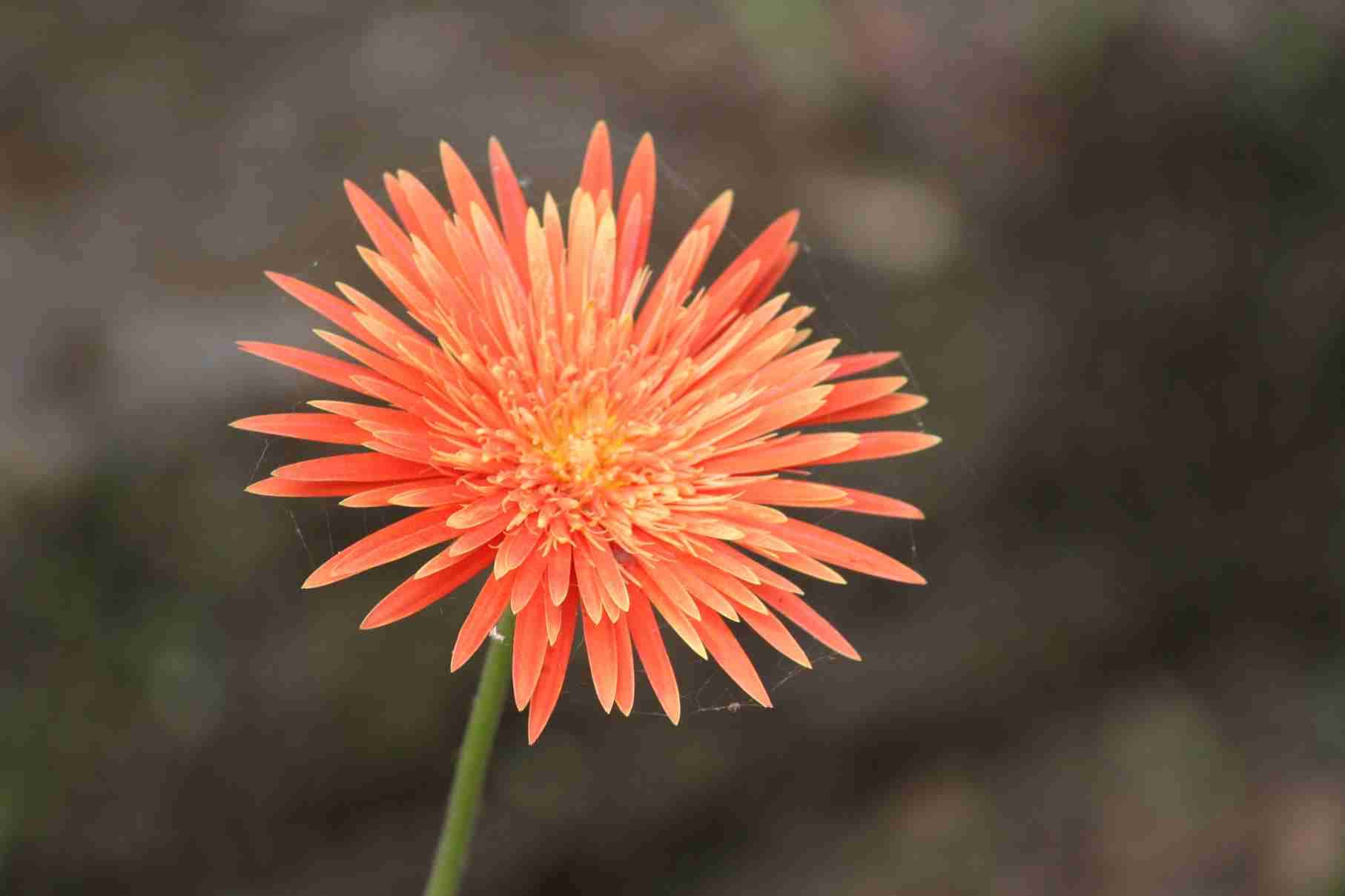 Conversations With Your Inner Self- Explore Hidden Consciousnes thumb 4