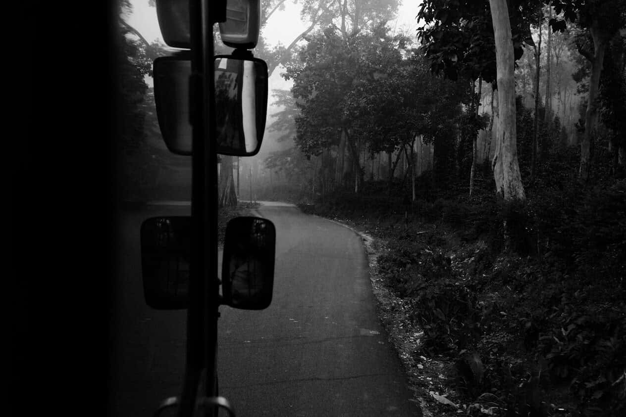 Monsoon Special - The Agumbe Rainforest Camping | Muddie Trails thumb 3