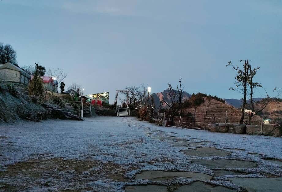 The Kanatal Orchids - NYE 2023 thumb 3