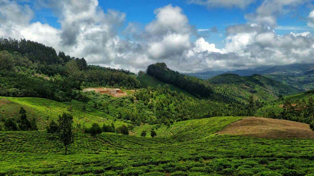 Kotagiri Trek - Camp Amidst The Nilgiri Hills | Plan The Unplanned - April thumb 2