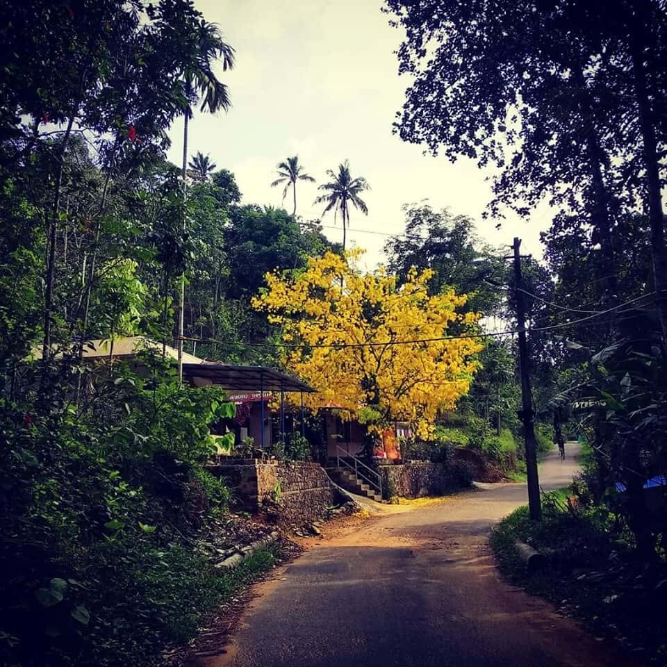 Vagamon - The Unexplored Trail thumb 2